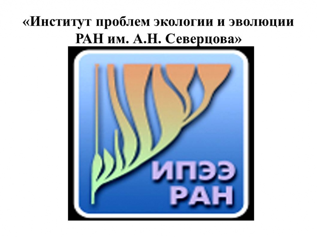 ИПЭЭ РАН наши партнёры (3).jpg ИПЭЭ РАН наши партнёры (3).jpg